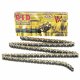 Catena D.I.D X-Ring Passo 525VX Maglie 108