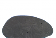 Filtro Aria spugna ATHENA Benelli