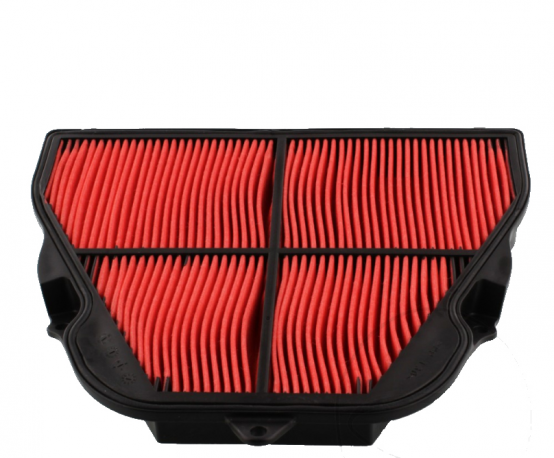 Filtro Aria Hiflo Triumph 