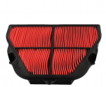 Filtro Aria Hiflo Triumph