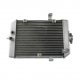 Radiatore Acqua Quad Yamaha YFM 660 Raptor 