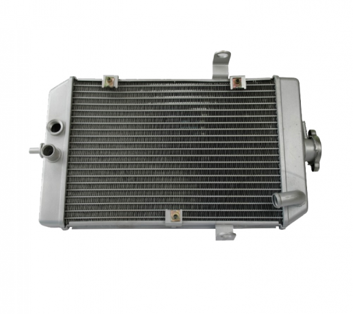 Radiatore Acqua Quad Yamaha YFM 660 Raptor 