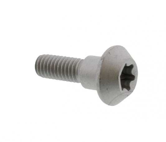 Vite Per Disco Freno M6X20 Yamaha FZ1 1000 NA ABS 
