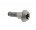 Vite Per Disco Freno M6 X 20 Yamaha FZ1 1000 NA ABS