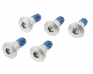 Kit Viti Per Disco Freno Suzuki LT-Z 250 - GSX 1300 BK B-King