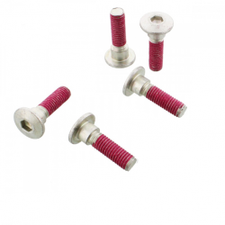 Kit Viti Per Disco Freno Kawasaki EN 500 - VN 800 B CLASSIC