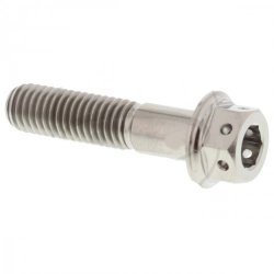 Bulloni Disco Freno Titanio Pro Bolt