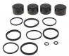 Kit Revisione Pinza Frerno BMW K 1200 LT ABS - R 1200 CL ABS 