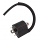 Bobina di accensione Yamaha BT 1100 Bulldog
