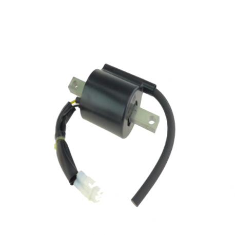 Bobina di accensione Yamaha YZ 250 2T 