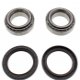 Kit Cuscinetti E Guarnizioni Ruota Quad POLARIS