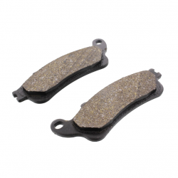 Pastiglie Freno In Carbonio Honda FES 125 Pantheon - FJS 600