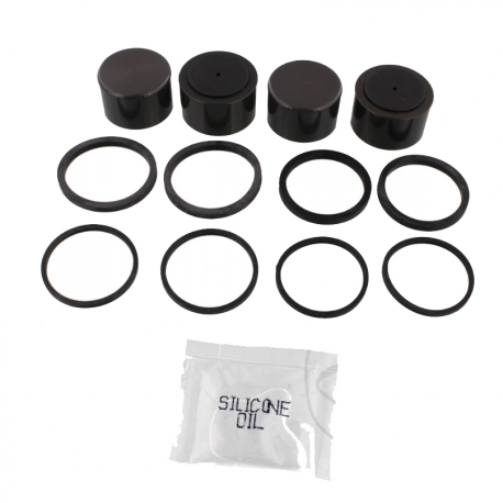 Kit Revisione Pinza Freno BMW K 100 RS 16V - K 1100 LT 