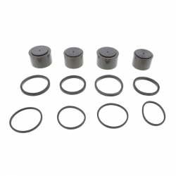 Kit Revisione Pinza Freno BMW K 1200 R 55 inch - K 1200 LT ABS