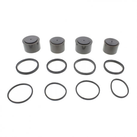 Kit Revisione Pinza Freno BMW K 1200 R 55 inch - K 1200 LT ABS 