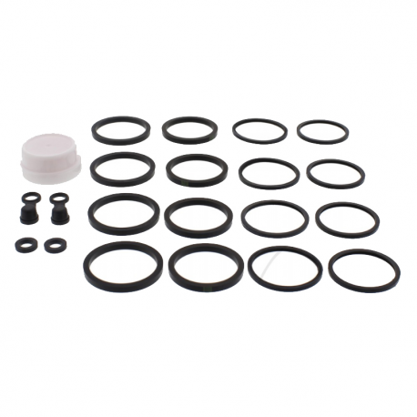Kit Revisione Pinza Freno Honda CBR 1000 RR Fireblade 