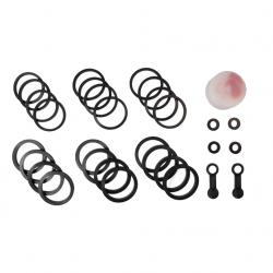 Kit Revisione Pinza Freno Kawasaki ZX-6R 600 G Ninja