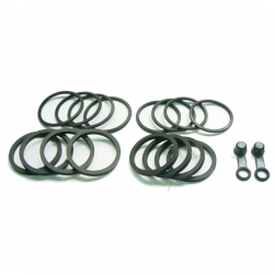 Kit Revisione Pinza Freno Yamaha FZR 600 - TDM 850