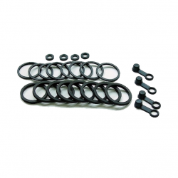 Kit Revisione Pinza Freno Suzuki GSX 600 FU2 - GSX 750 F