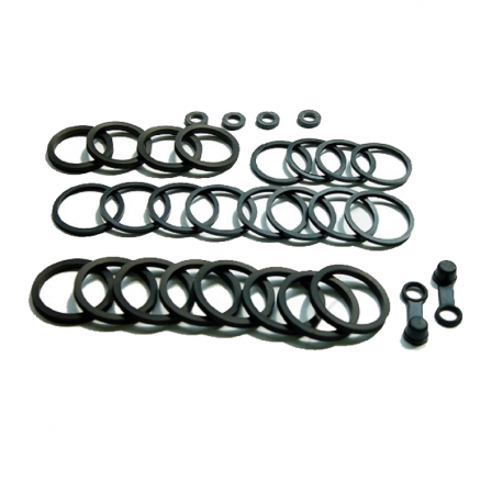 Kit Revisione Pinza Freno Kawasaki ZRX 1100 - ZX-7R 750 P Ninja 