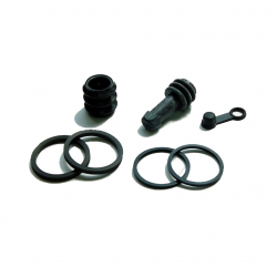 Kit Revisione Pinza Freno Kawasaki ER-6F 650 A VN 800 B