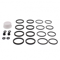 Kit Revisione Pinza Freno Kawasaki VN 1700 B Voyager ABS