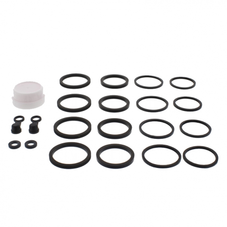 Kit Revisione Pinza Freno Kawasaki VN 1700 B Voyager ABS 