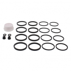 Kit Revisione Pinza Freno Kawasaki Z 1000 F - Z 1000 SX ABS