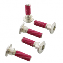 Kit Viti Per Disco Freno Kawasaki ER-6F 650 - GPZ 1100 E