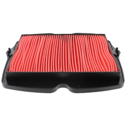 FILTRO ARIA HIFLO HFA1930