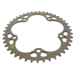 Corona 43 Denti Passo 520 MV Agusta Brutale