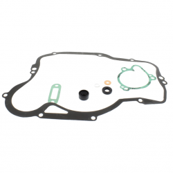 Kit Revisione Pompa Acqua Kawasaki KX 250