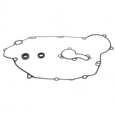Kit Revisione Pompa Acqua Kawasaki KX 450 F