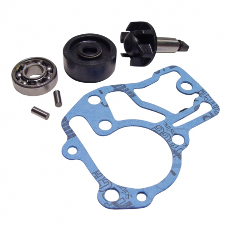 Kit Revisione Pompa Acqua Yamaha YN 50 F 4T Neos 