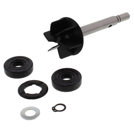 Kit Revisione Pompa Acqua Aprilia - BMW 