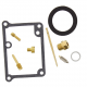 Kit Revisione Carburatore Kawasaki KMX 125 