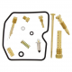 Kit Revisione Carburatore Kawasaki GPZ 900 R Ninja 