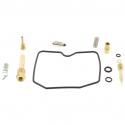 Kit Revisione Carburatore Kawasaki GPX 750 R