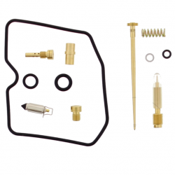 Kit Revisione Carburatore Kawasaki KLE 500 A