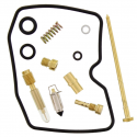 Kit Revisione Carburatore Kawasaki KLE 500
