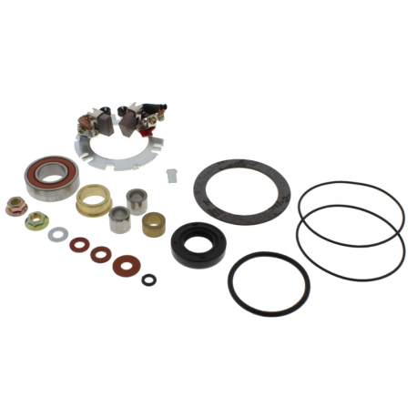 Kit revisione motorino Di avviamento Yamaha XV 750 - XV 1000 TR1 