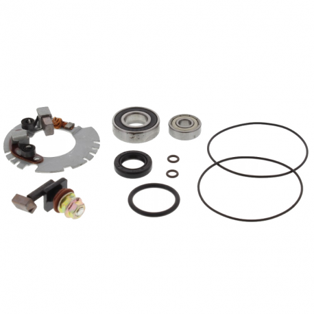 Kit revisione motorino Di avviamento Triumph Daytona 1200 