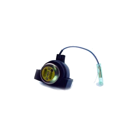 Interruttore Magnetico Yamaha SZR 660 
