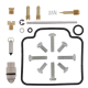Kit Revisione Carburatore Polaris Sportsman 600 - Sportsman 700 