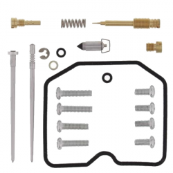 Kit Revisione Carburatore Suzuki KLX 300 R