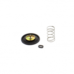 Valvola Tenuta Aria Carburatore Honda VFR 750 R - ST 1100
