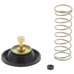 Valvola Tenuta Aria Carburatore Kawasaki VN 800 A - VN-15 1500