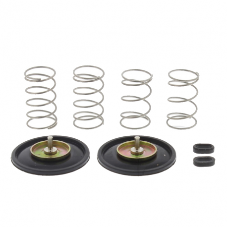 Valvola Tenuta Aria Carburatore Honda VT 1100 C3 - VT 1100 C Shadow 