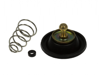 Valvola Tenuta Aria Carburatore Kawasaki EL 250 - GTR 1000 A