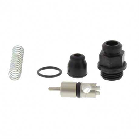 Kit Revisione Valvola Starter Yamaha YFM 350 RZ Raptor 